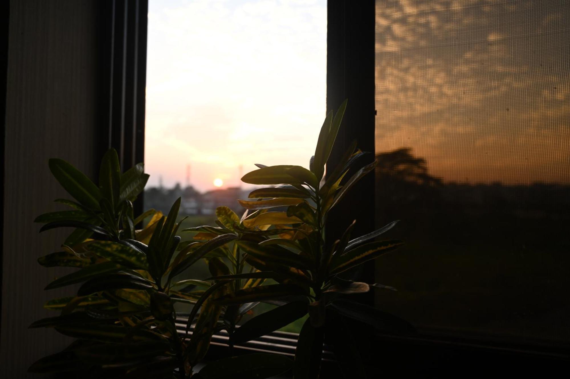 The Cabin By The Bayou Bed and Breakfast Guwahati Buitenkant foto